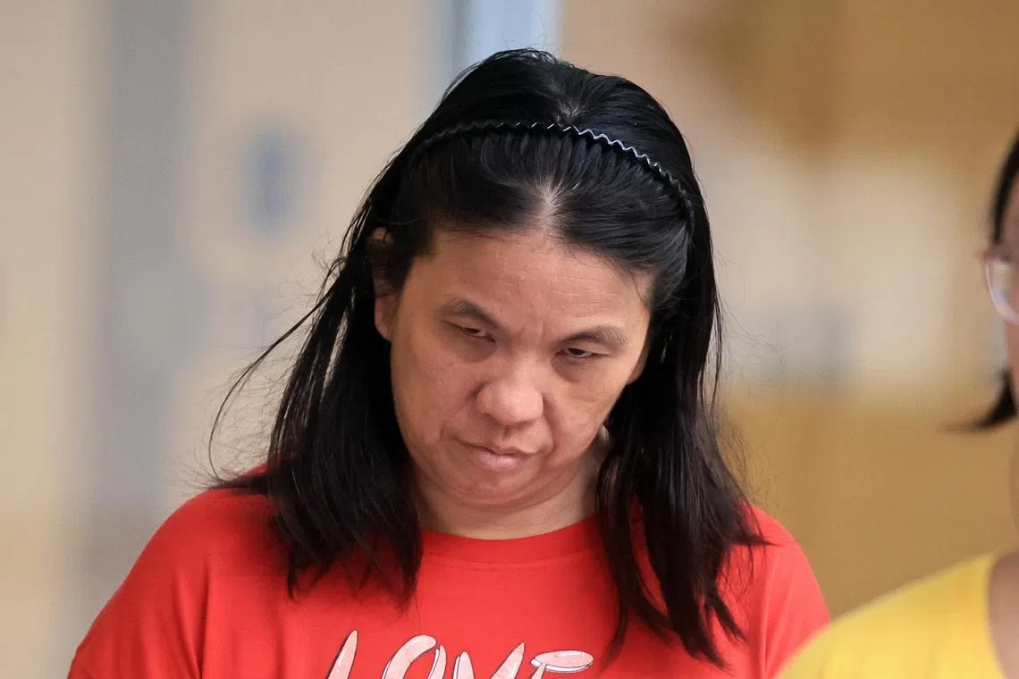 Lim Sok Lay pleaded guilty to one count each of committing an act of mischief and using criminal force on another person.