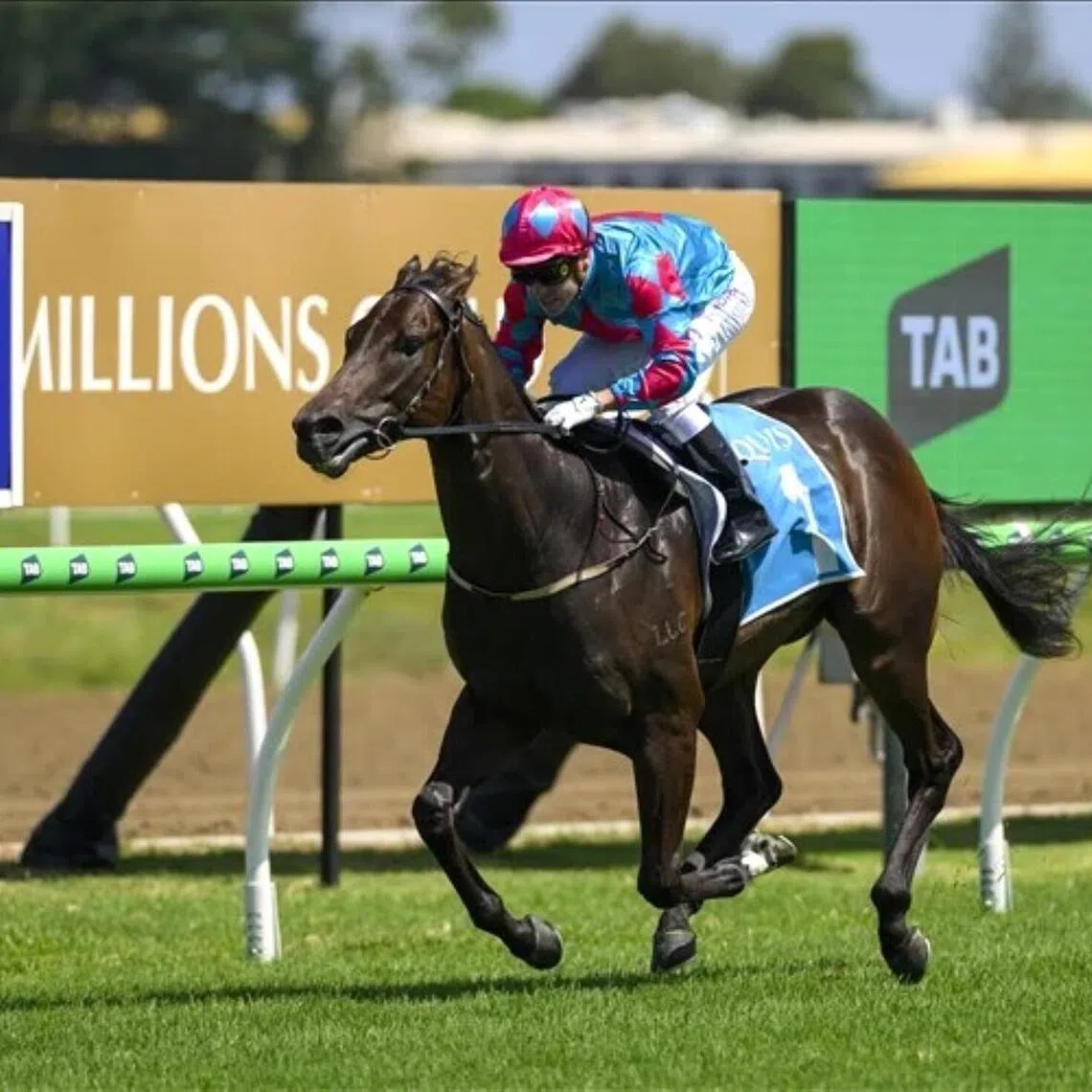 Itichintogo - The Tony Gollan-trained Itichintogo (Ryan Maloney) cruising to an easy win in the Gold Nugget (1,100m) at the Gold Coast on Jan 10.

PHOTO: Racing Queensland