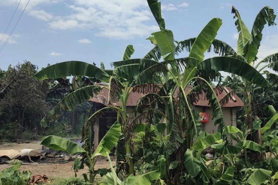 The house of Ashika Bote, who was killed along with her four-year-old son, by an elephant.