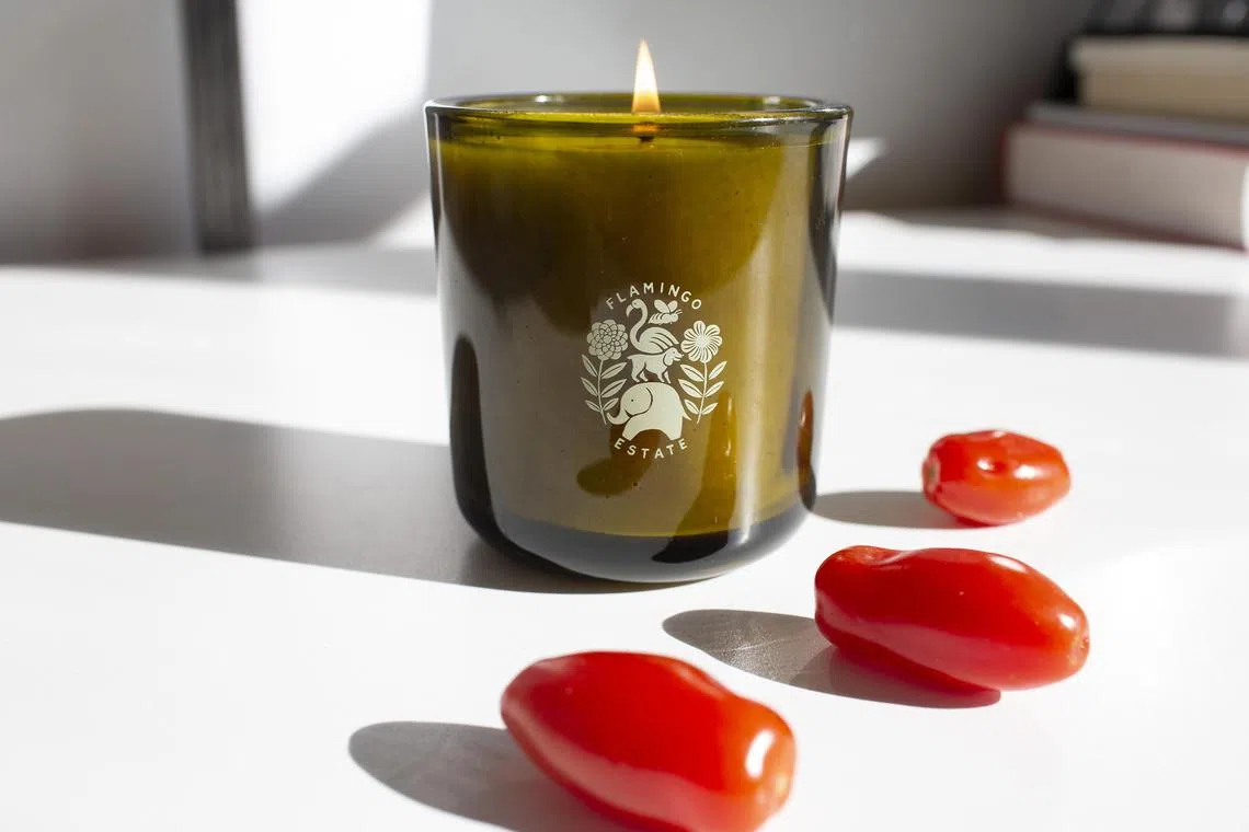 Flamingo EstateÕs Roma Heirloom Tomato Candle in New York, Feb. 10, 2023. A pantryÕs worth of savory food scents, from burgers to croissants to latkes, are finding their way into luxury candles. (Erica Gannett/The New York Times)