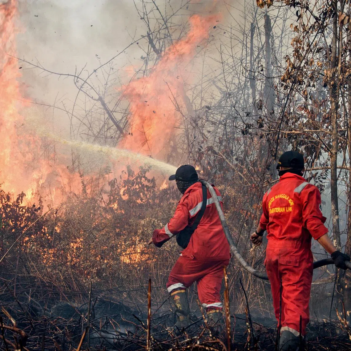Firefighters work to extinguish a wildfire burning on peatland in Rimba Panjang, Riau province on July 20, 2025. 