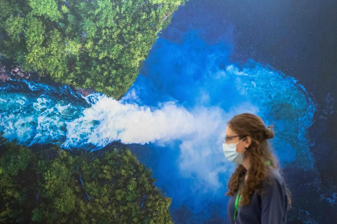 Policymakers hope an ambitious deal can spur nature conservation in the same way as the international climate pact in Paris in 2015.