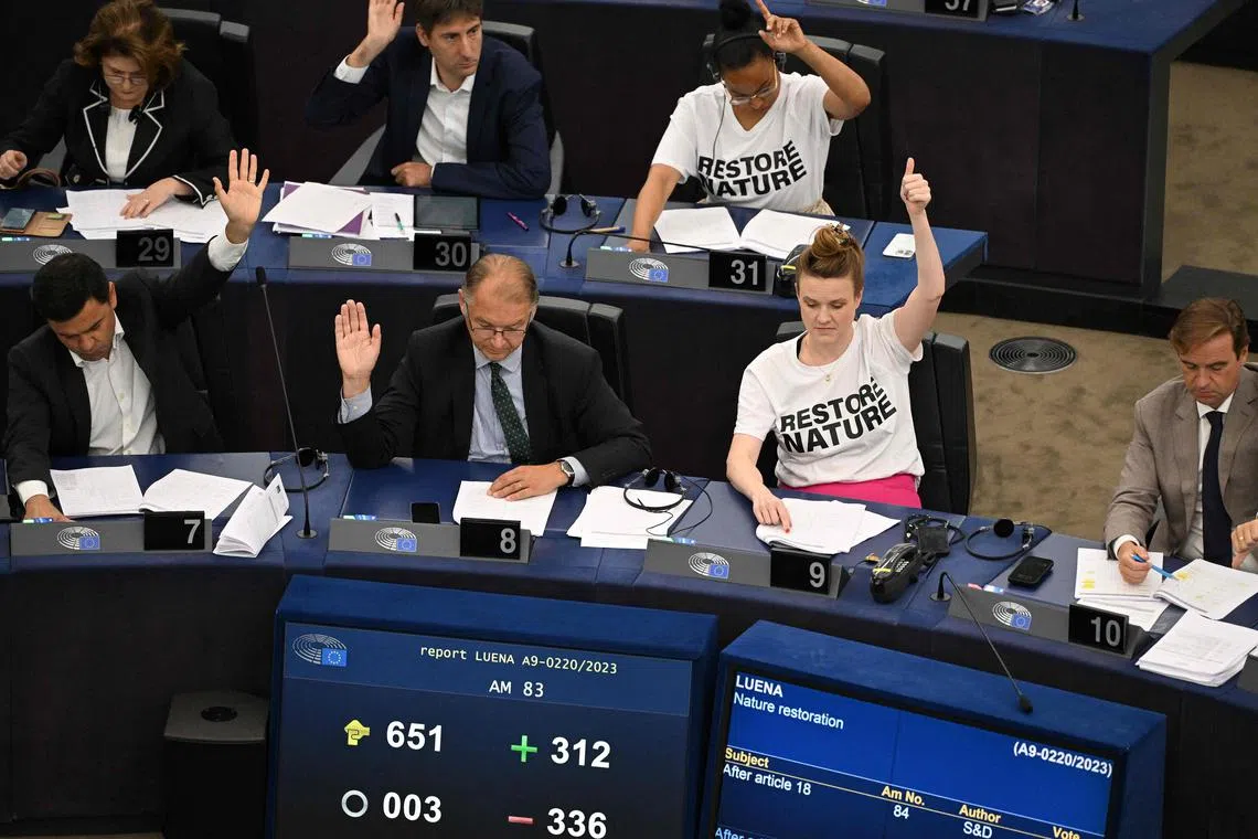 Members of the European Parliament wearing tee-shirts reading "Restore Nature" react as they take part in a voting session on EU nature restoration law during a plenary session at the European Parliament in Strasbourg, eastern France, on July 12, 2023. The European Parliament on July 12, 2023 narrowly backed a key biodiversity bill aimed at rewilding EU land and water habitats, overcoming a backlash by conservative lawmakers who said it would hurt farmers. The text endorsing the Nature Restoration Law passed with 336 votes in favour, 300 against and 13 abstentions, setting the scene for the parliament to negotiate a final law on the issue with EU member state governments. (Photo by FREDERICK FLORIN / AFP)