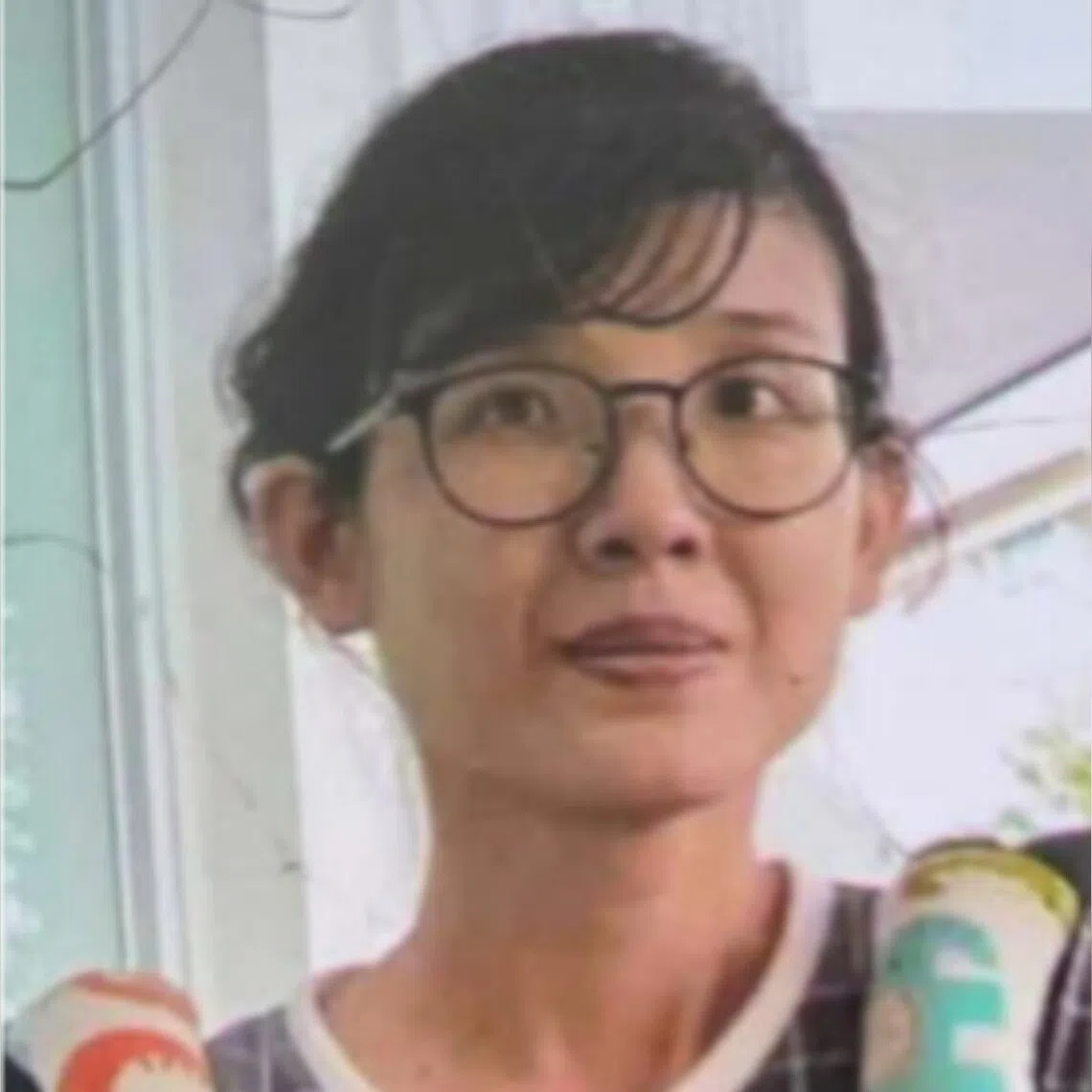 Ms Huang Wei Ting was last seen near Bowmont Gardens on Dec 18.