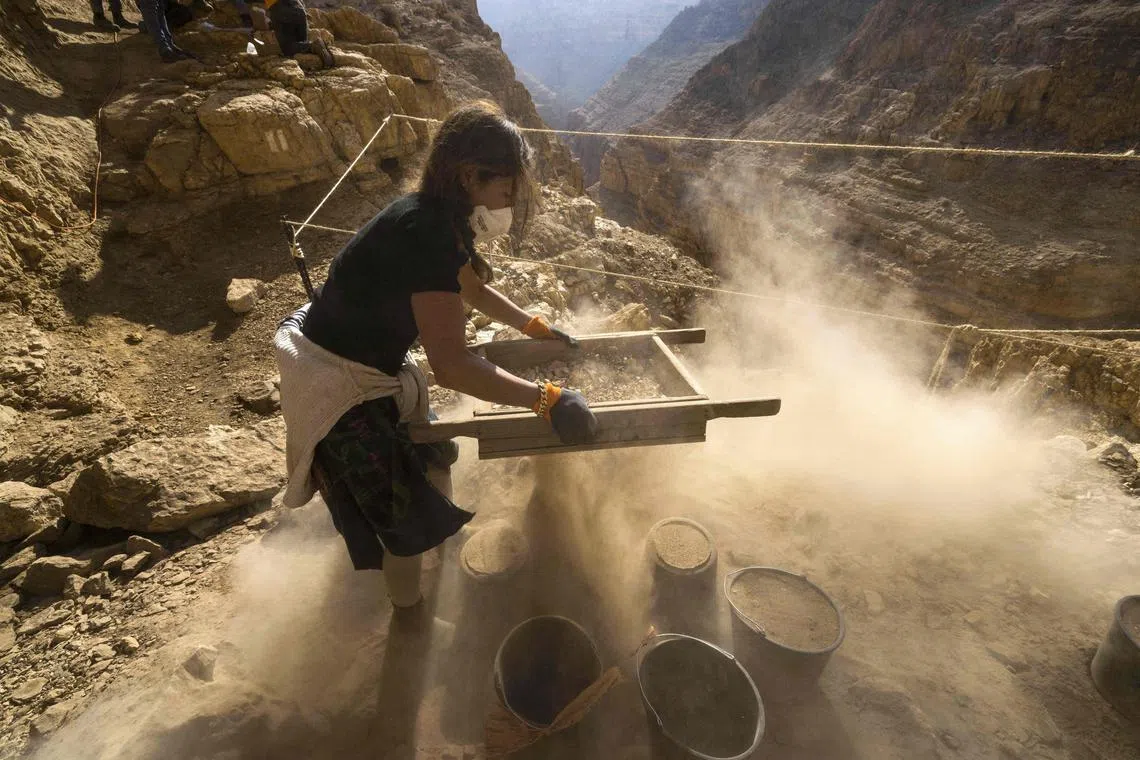 Members of the Israel Antiquities Authority (IAA) team sift soil at an excavation site in the Murabaat cave in the Judean Desert area near the Dead Sea, on December 28, 2022. 
