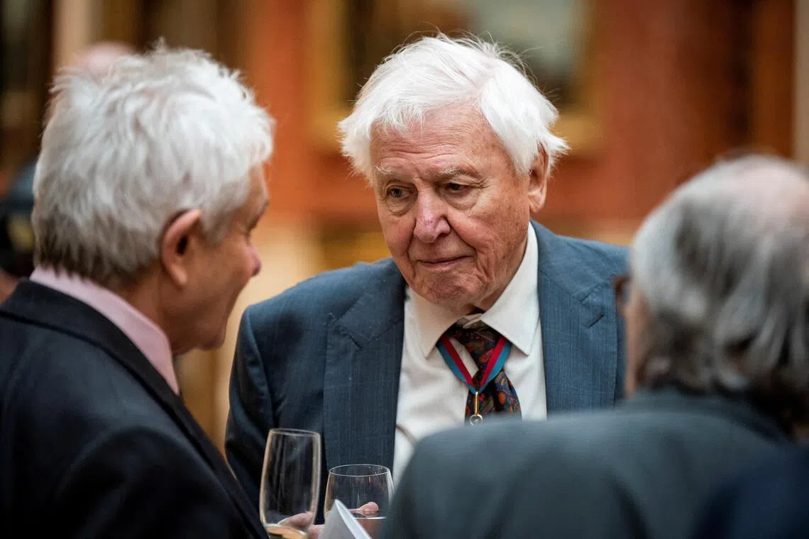 In Britain, Sir David Attenborough’s centenary is being marked with a week of special broadcasts on the BBC, a live concert at the Royal Albert Hall, events at museums, nature walks and tree planting.