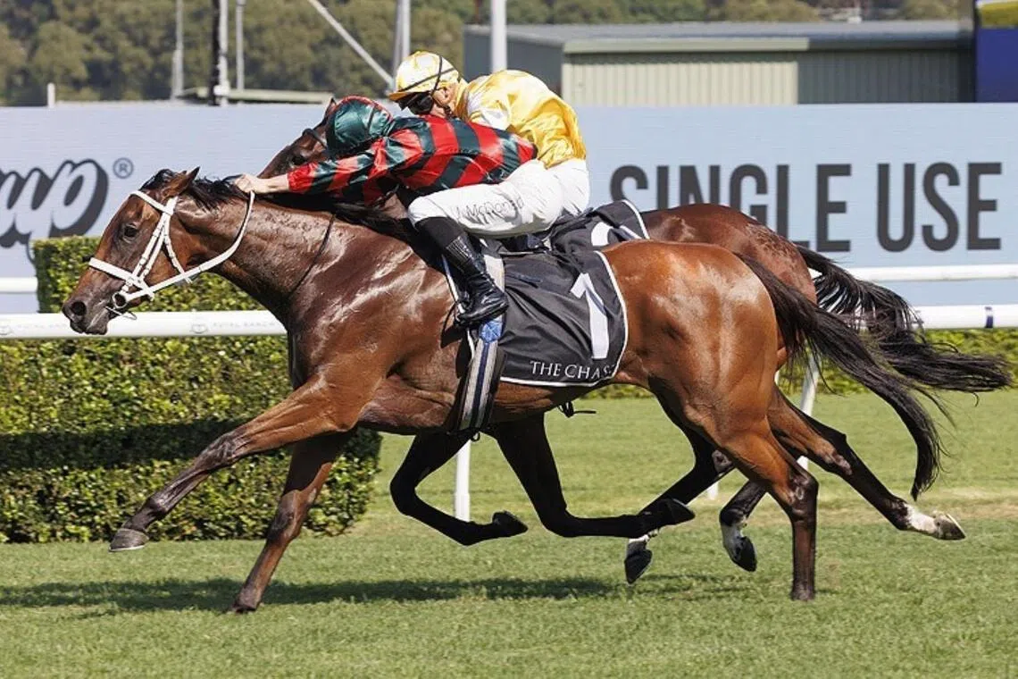 Horse racing: Lady Shenandoah (James McDonald) beating Lady Of Camelot (Tim Clark) in the Group 1 Surround Stakes at Randwick, 1 March 2025.