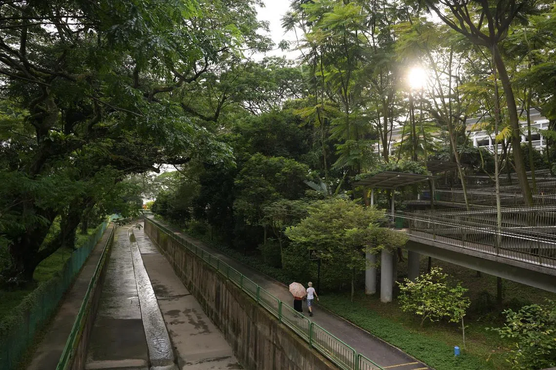 The planned park incorporates space currently occupied by the Alexandra-Queensway Park Connector.