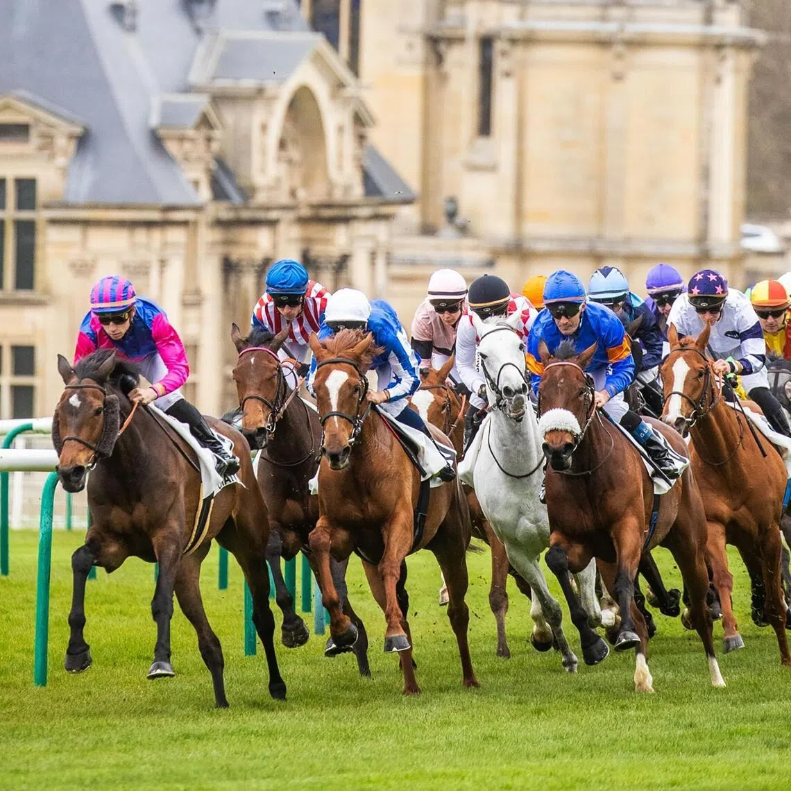 A group of horses galloping at Chantilly in Paris with the magnificent Chateau de Chantilly as the backdrop.

