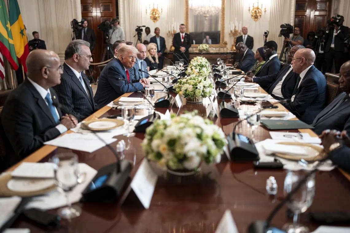 US President Donald Trump (third from left) speaking at his lunch with African leaders at the White House on July 9.