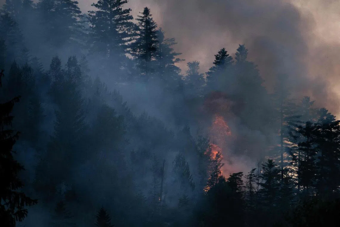 A photo shows smoke billowing over burning vegetation during a forest fire, in Bois-de-Champ, eastern France, on June 13, 2023. (Photo by Sébastien BOZON / AFP)