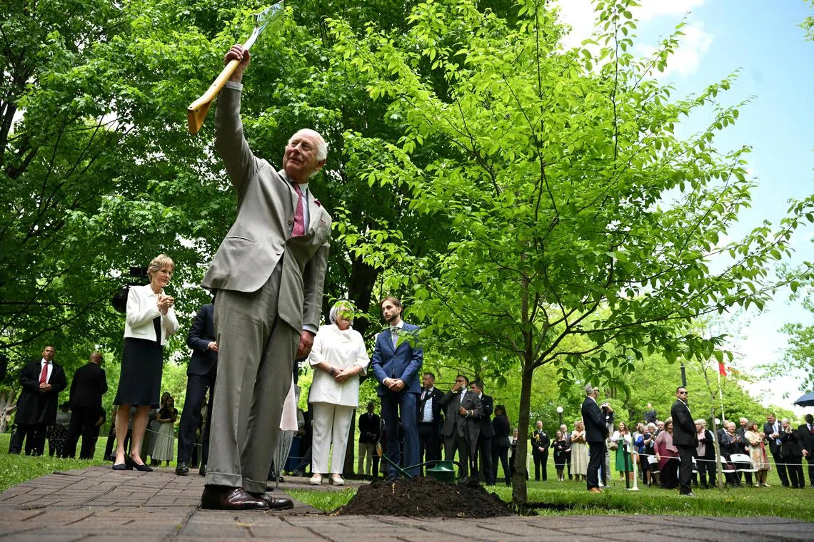 Britain's King Charles III raises a shovel after a ceremonial tree planting at the official residence of the Governor General of Canada in Ottawa, Canada.