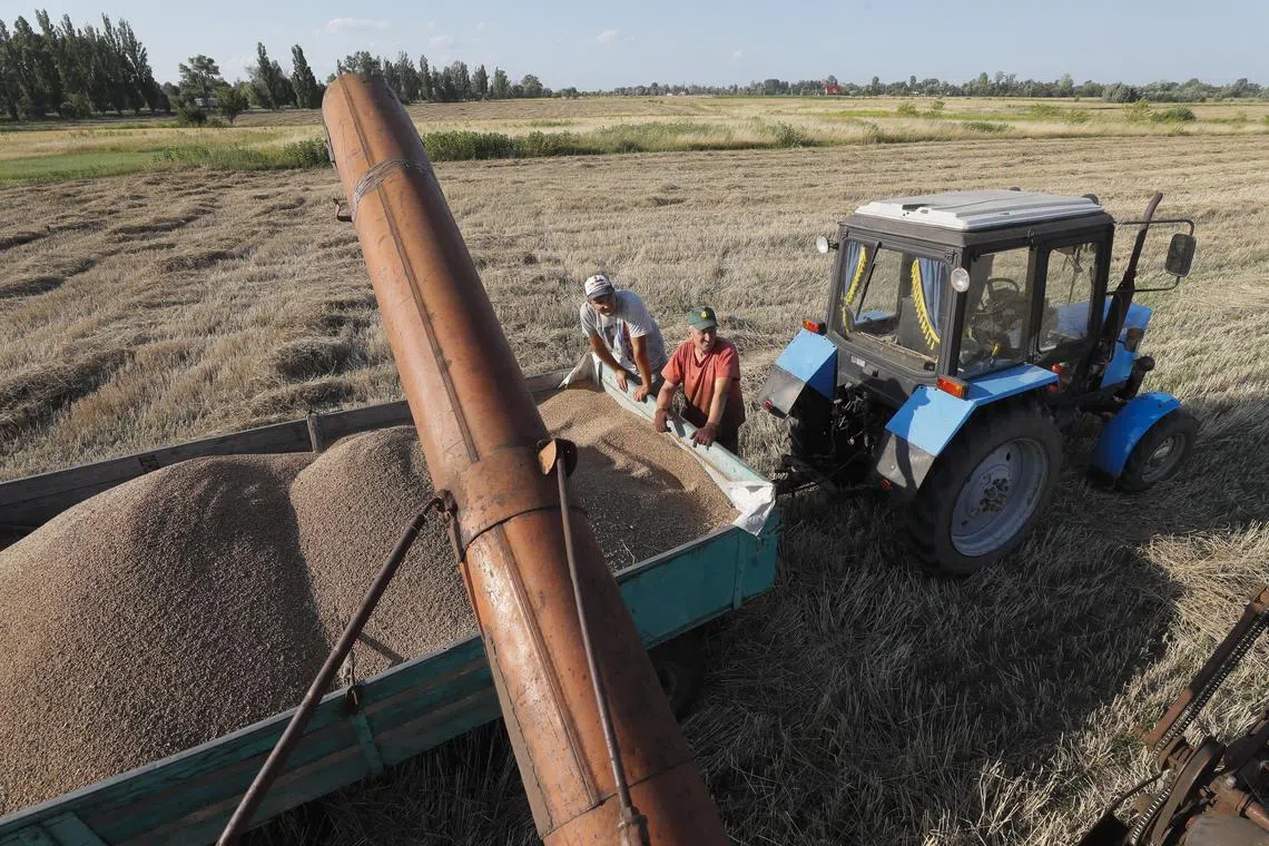 Farmers drop grain from a combined harvester during a harvest near Kyiv, Ukraine.