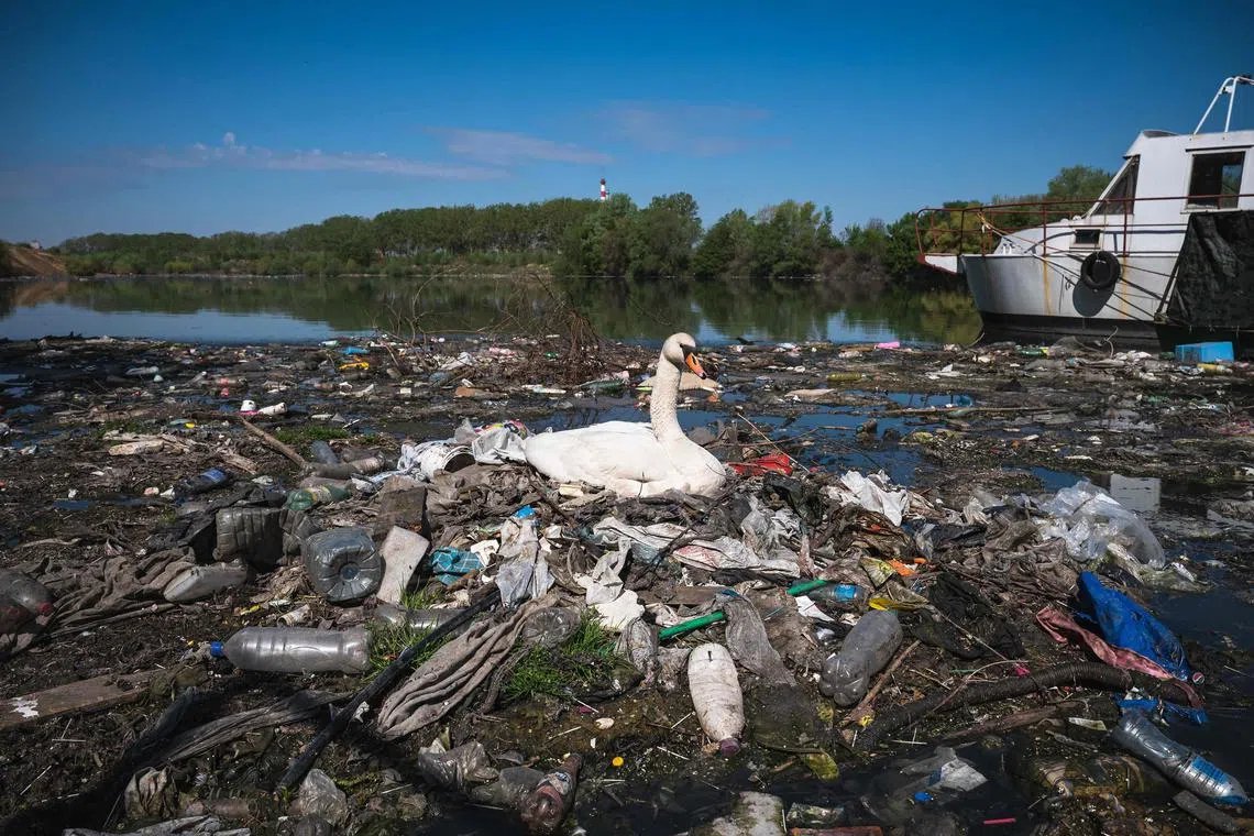 One of the more unsettling elements of the whole microplastics situation is its strangely democratic pervasiveness, says the writer.