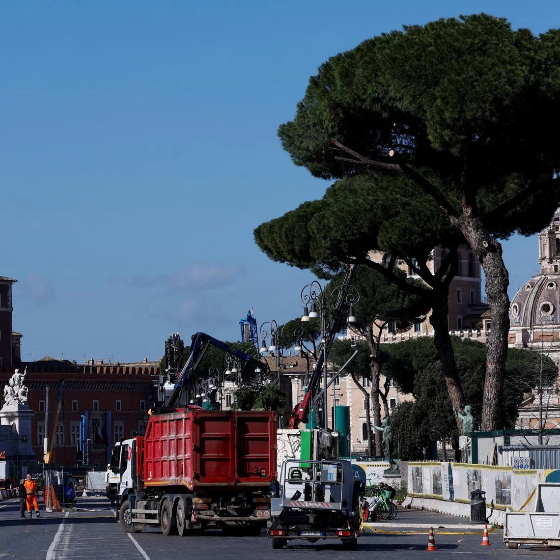 Workers cut down ageing pine trees, as part of a maintenance operation, along Via dei Fori Imperiali in central Rome, Italy, February 13, 2026. REUTERS/Remo Casilli