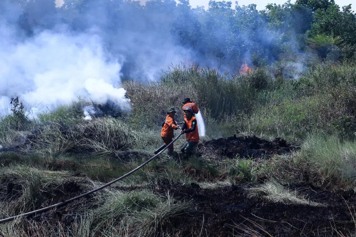 Indonesian firefighters battling forest and land fires in Palem Raya Village, in South Sumatra on Sept 1, 2023.