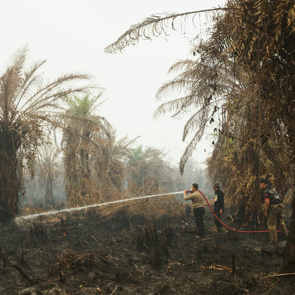 A police officer, along with firefighters, sprays water in an attempt to extinguish a wildfire at a a palm oil plantation area in South Arut on Oct 18.