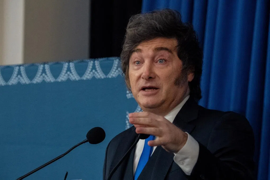Argentina seen managing 2027 debt wall but political risk is key