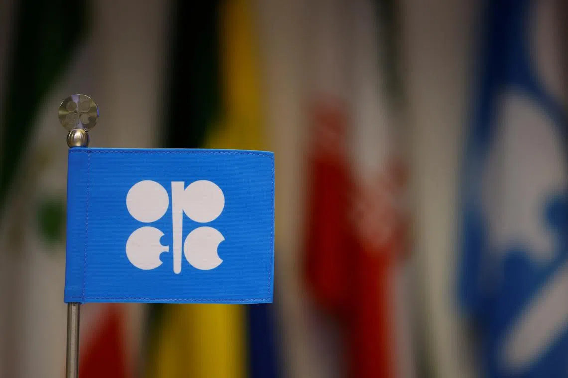 FILE PHOTO: An OPEC flag is seen on the day of OPEC+ meeting in Vienna  in Vienna, Austria October 5, 2022. REUTERS/Lisa Leutner/File Photo