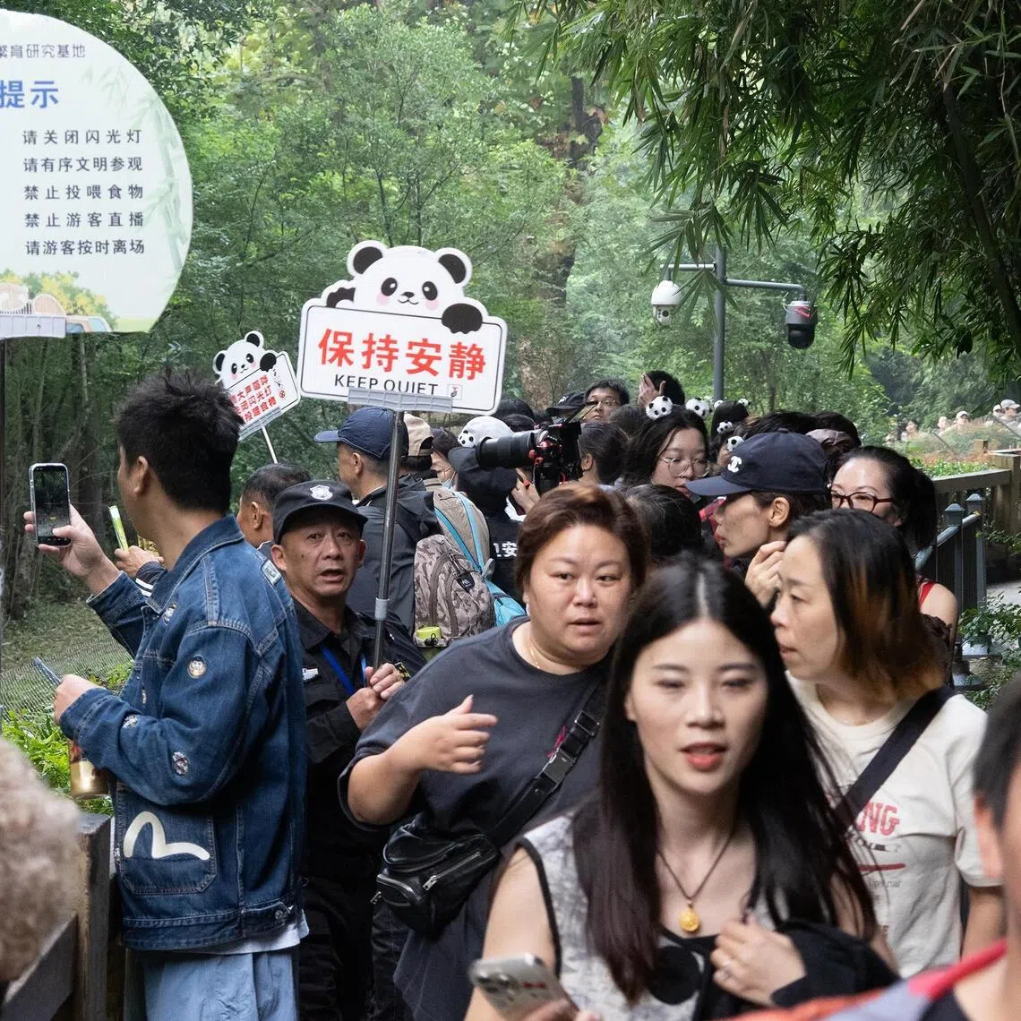mzpanda - The crowd at the quarters of Hua Hua, China’s celebrity panda. Guards frequently remind visitors to keep their noise levels down, and move them on after 2 minutes of viewing time.

Credit: PANDA SLEEP HOTEL
