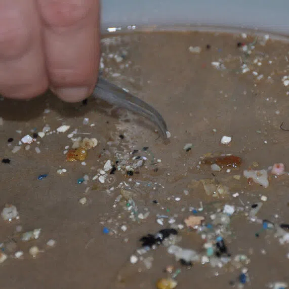 The proliferation of tiny plastic particles is a serious environmental and health issue. But shock attention-grabbing tactics can backfire.