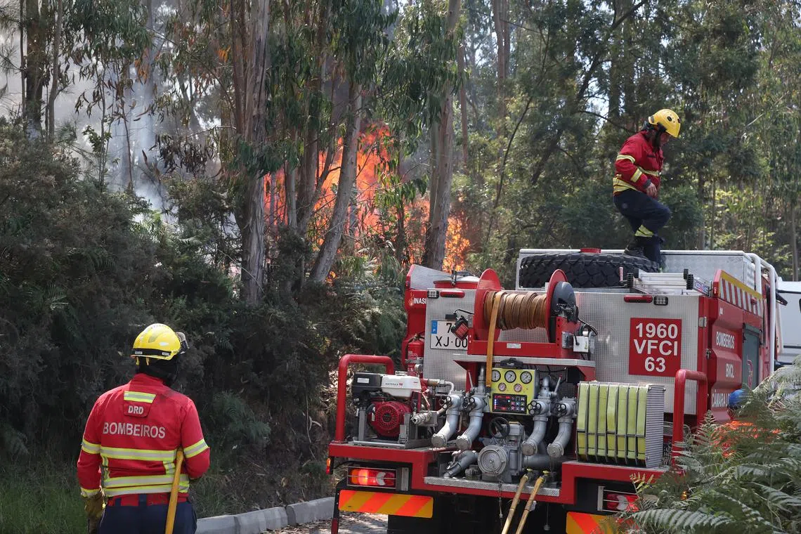 Firefighters try to extinguish a fire in Madeira Island, Portugal, on Aug 18.