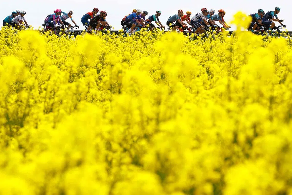 TOPSHOT - The pack rides during the 1st stage of the Giro d'Italia 2026 - Tour of Italy cycling race between Nessebar and Burgas, Bulgaria, on May 8, 2026. (Photo by Luca Bettini / AFP)