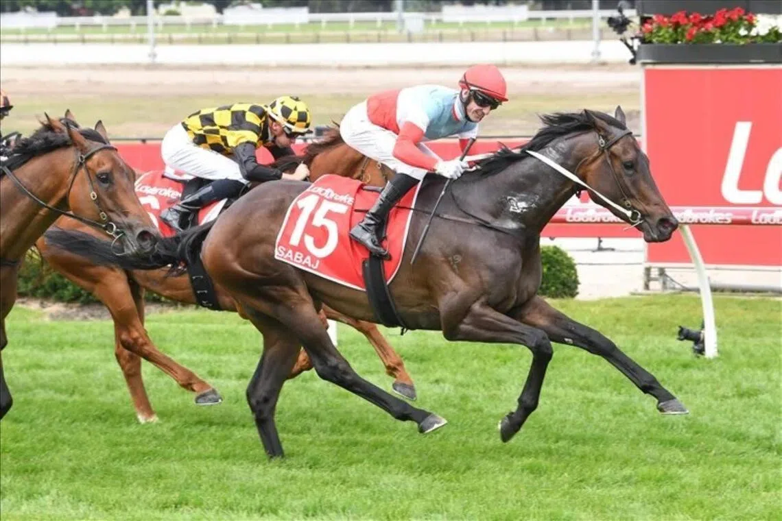 Sabaj’s holiday can wait till after The Ingham