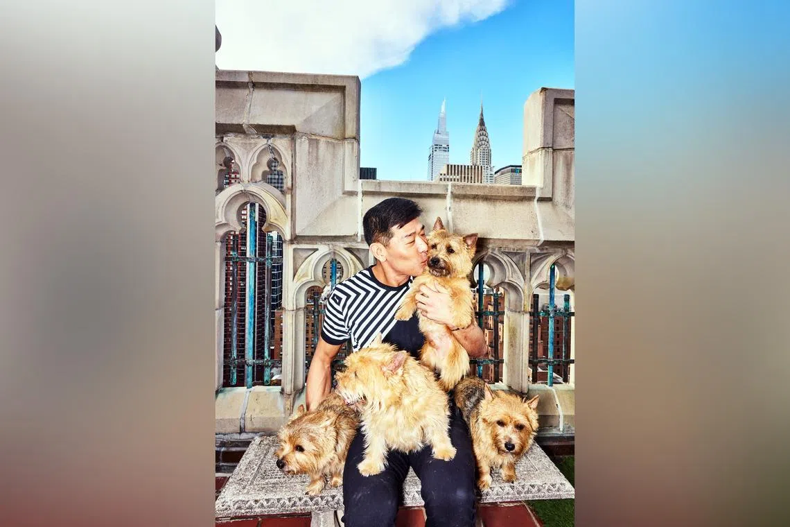 The pet grooming business is booming as more owners are willing to pay big bucks