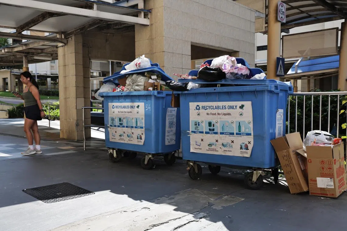 The domestic recycling rate hit a record low of 11 per cent in 2024. 