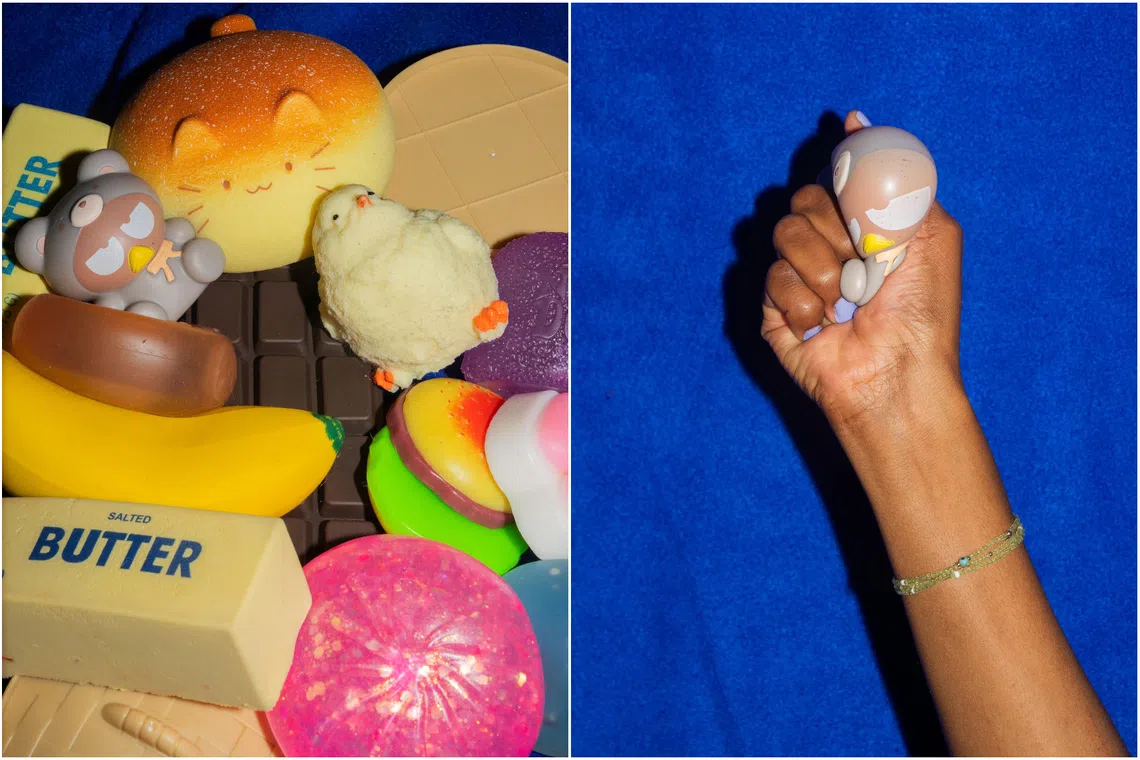 The toys come in a variety of shapes, colours and forms. Some have a crunch feel, and others rise slowly after being compressed.