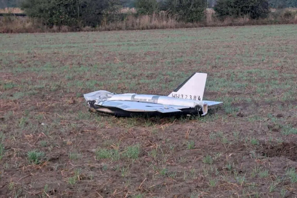 Nato jets downed Russian drones that entered Polish airspace on Sept 9-10.