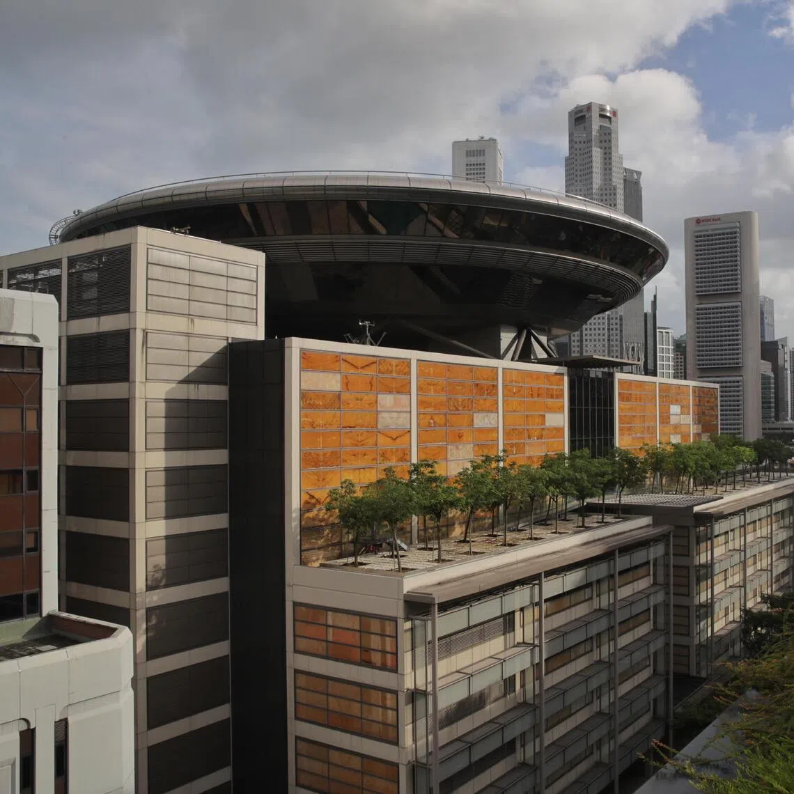 The judge said the woman was the cause of the family's pain and suffering.