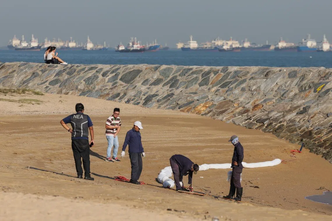 The National Environment Agency (NEA) said in an announcement on Telegram on Oct 25 that an advisory against such activities has been lifted. 