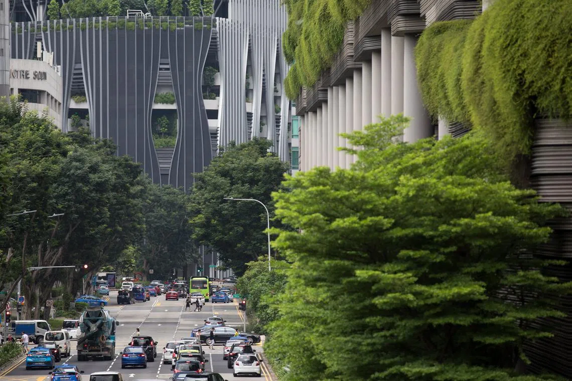 The Sustainability Impact Awards recognise businesses and individuals in Singapore who strive to make an impact on the environment and society.
