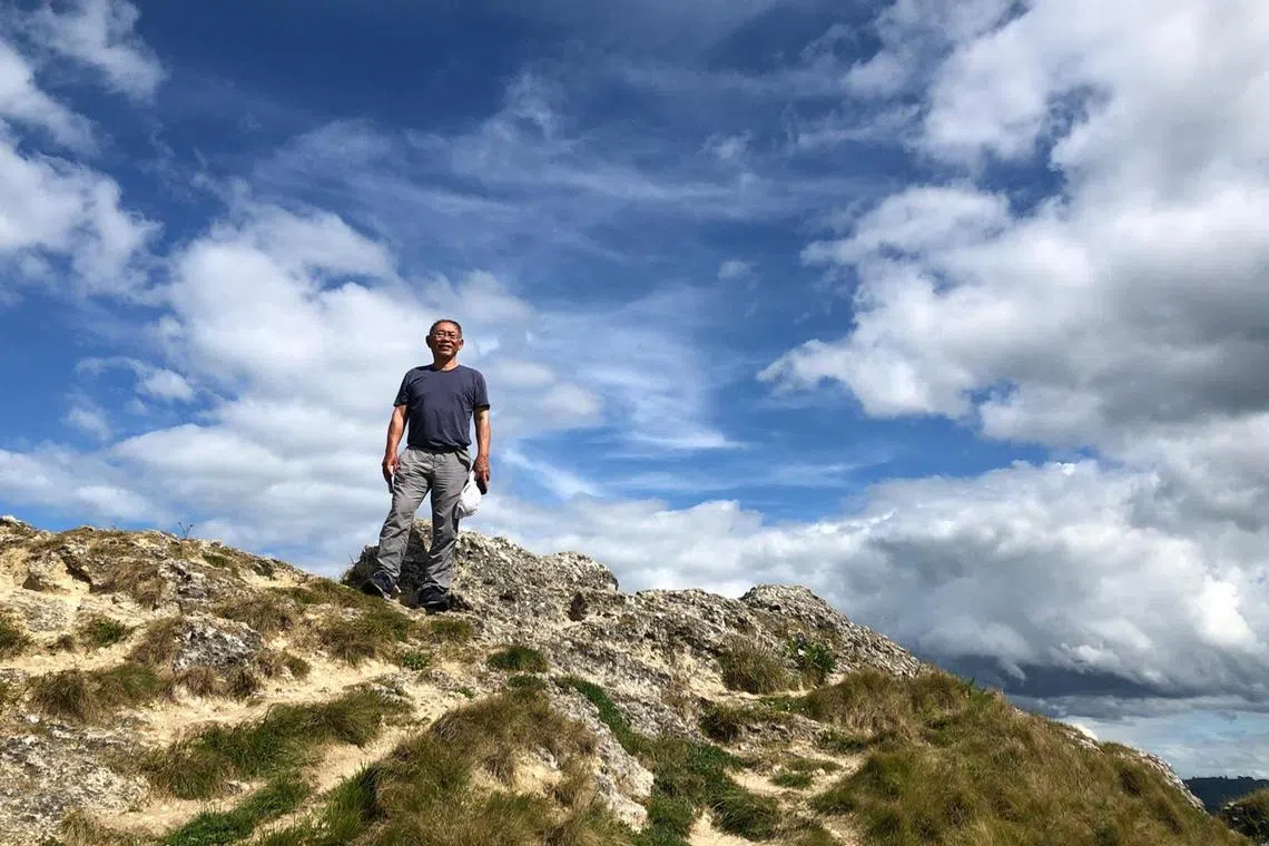 stretire1 - At Sturms Gully Reserve, Napier, NZ


Photo: Courtesy of Augustin Wong