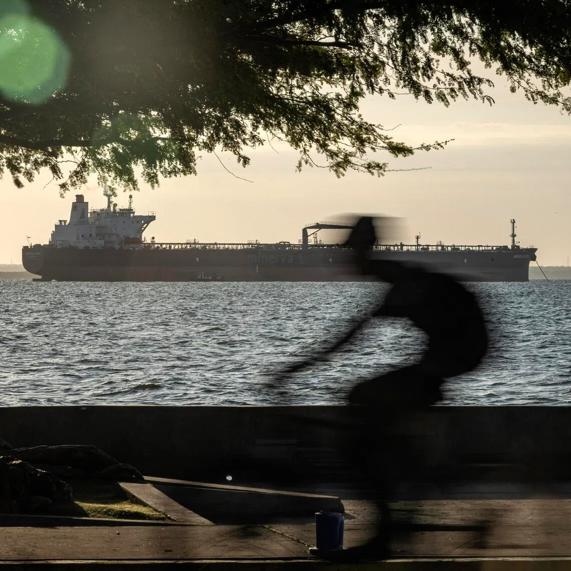 The update came a day after G-7 countries, in coordination with the IEA, agreed to immediately release 100 million barrels of diesel and crude oil to ease global energy supply concerns caused by fallout from the US-Iran war.