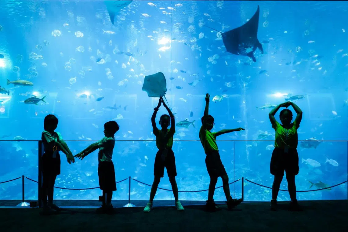 A total of 70 primary school pupils explored Singapore Oceanarium while playing ocean-themed games.