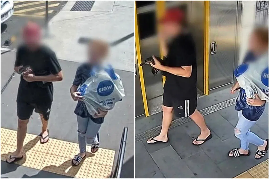 Police believed the elusive critter had been plucked from its natural habitat and appealed for its “timely surrender”.