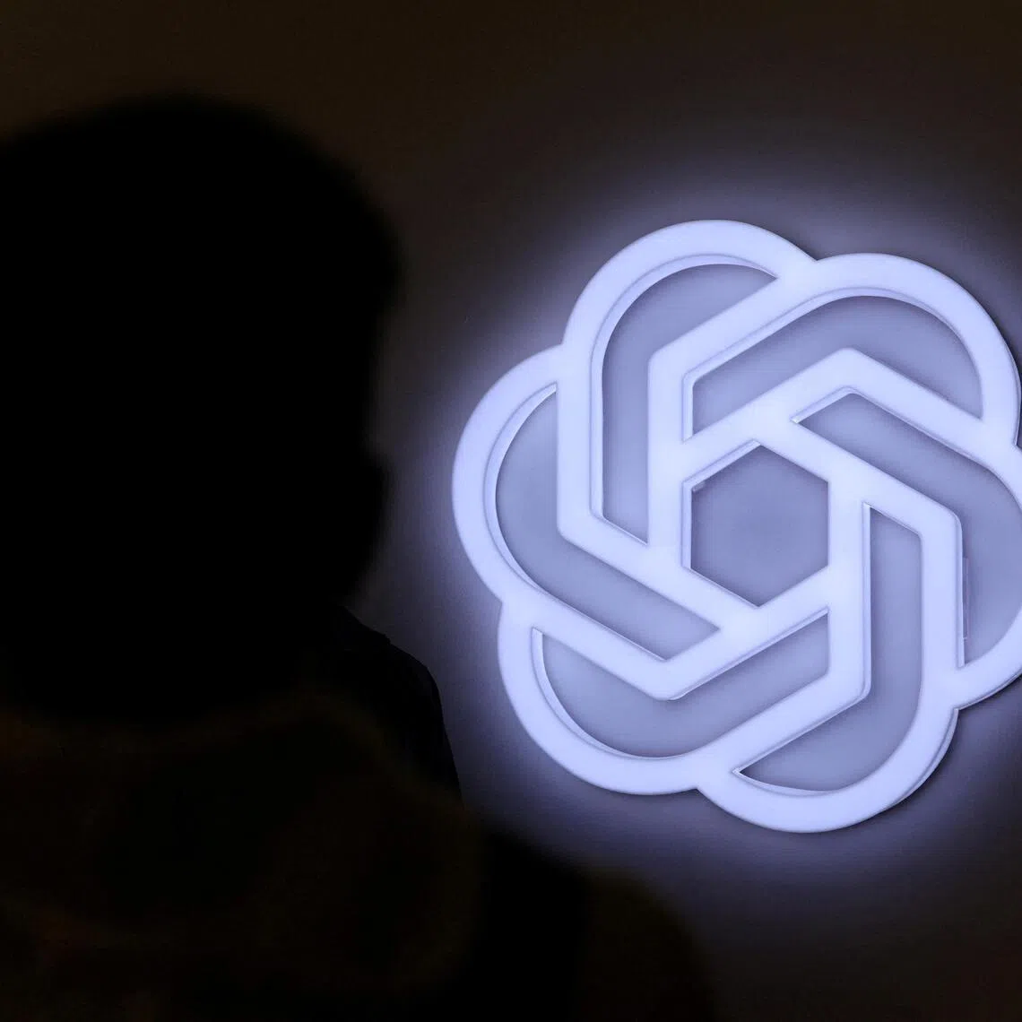 Questions are being asked about whether AI companies are doing enough to protect vulnerable people.