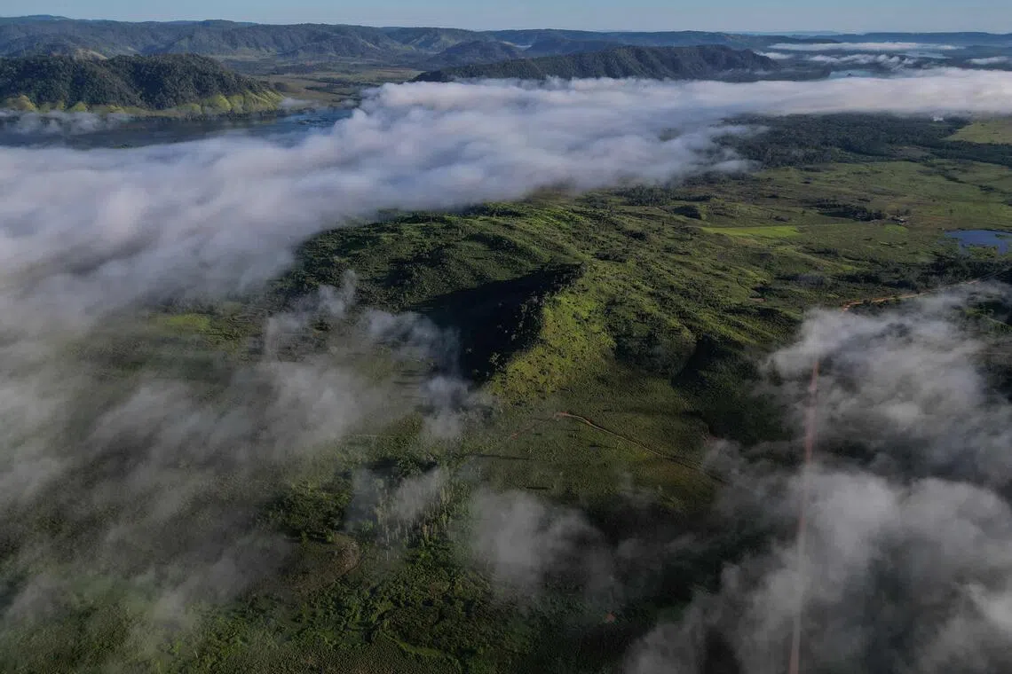 Brazil’s climate wins ahead of COP30