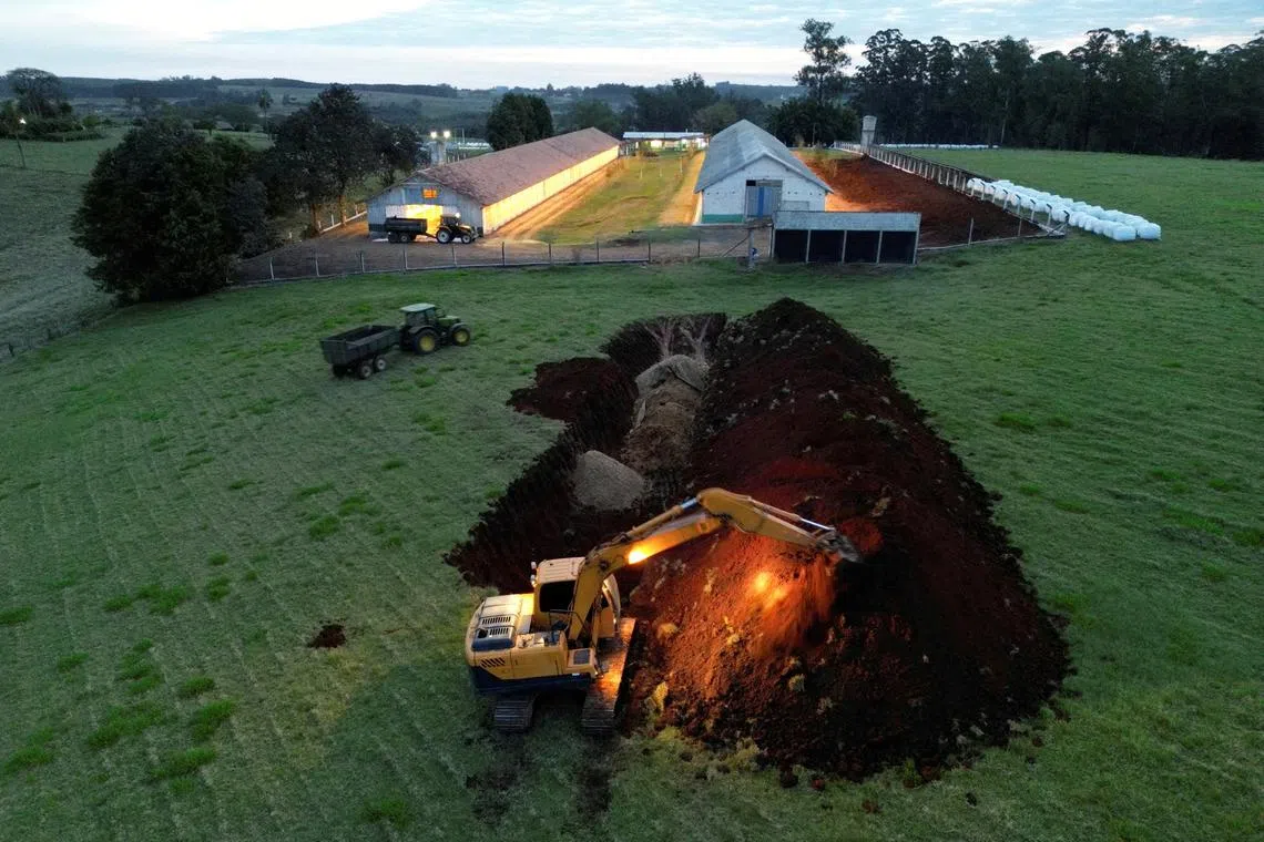 FILE PHOTO: An excavator moves earth next to a hole in the ground at a poultry farm after Brazil confirmed its first outbreak of bird flu on Friday, triggering protocols for a country-wide trade ban from top buyer China and state-wide restrictions for other major consumers, in Montenegro, Brazil May 16, 2025. REUTERS/Diego Vara/File Photo
