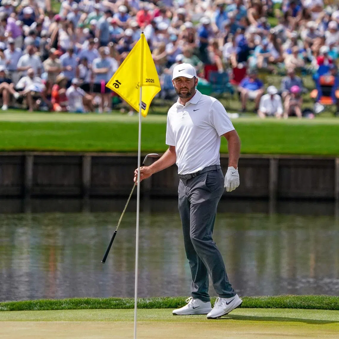Mar 14, 2026; Ponte Vedra Beach, Florida, USA; Scottie Scheffler lines up his chip shot on the 16th hole during the third round of THE PLAYERS Championship golf tournament. Mandatory Credit: Jeff Romance-Imagn Images