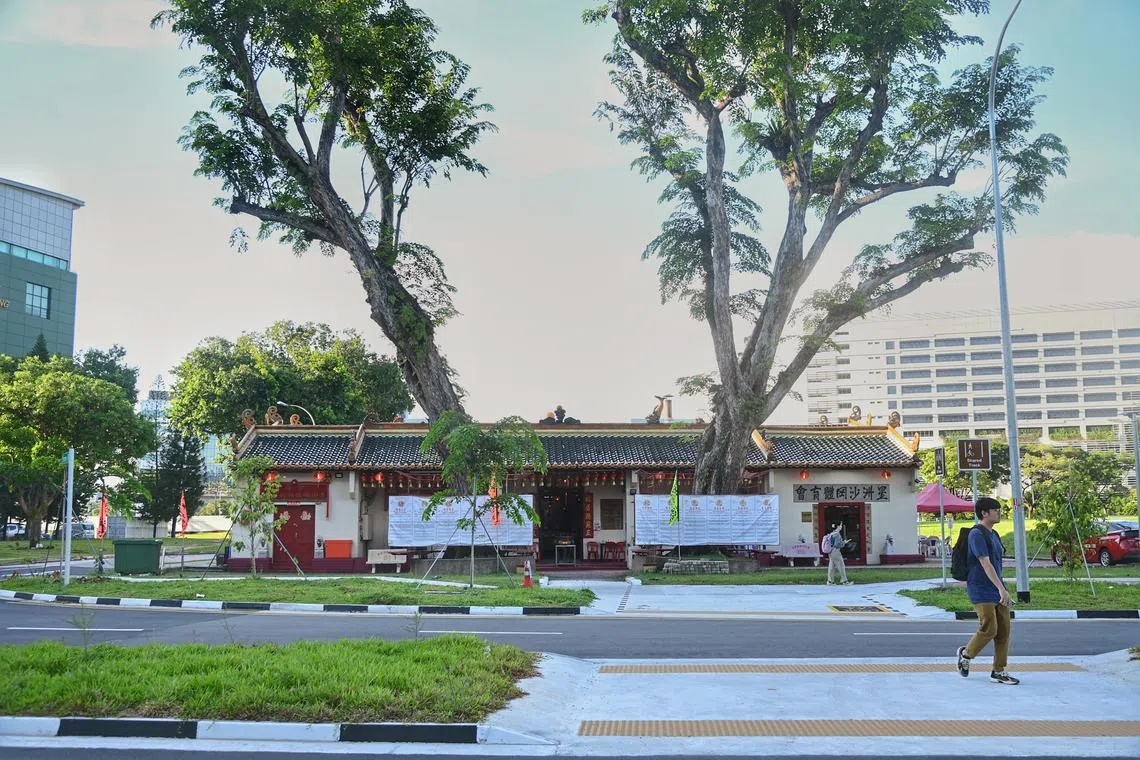 The Mun San Fook Tuck Chee Temple in Sims Drive has a pair of Angsana trees at its entrance that are thought to be at least a century old.