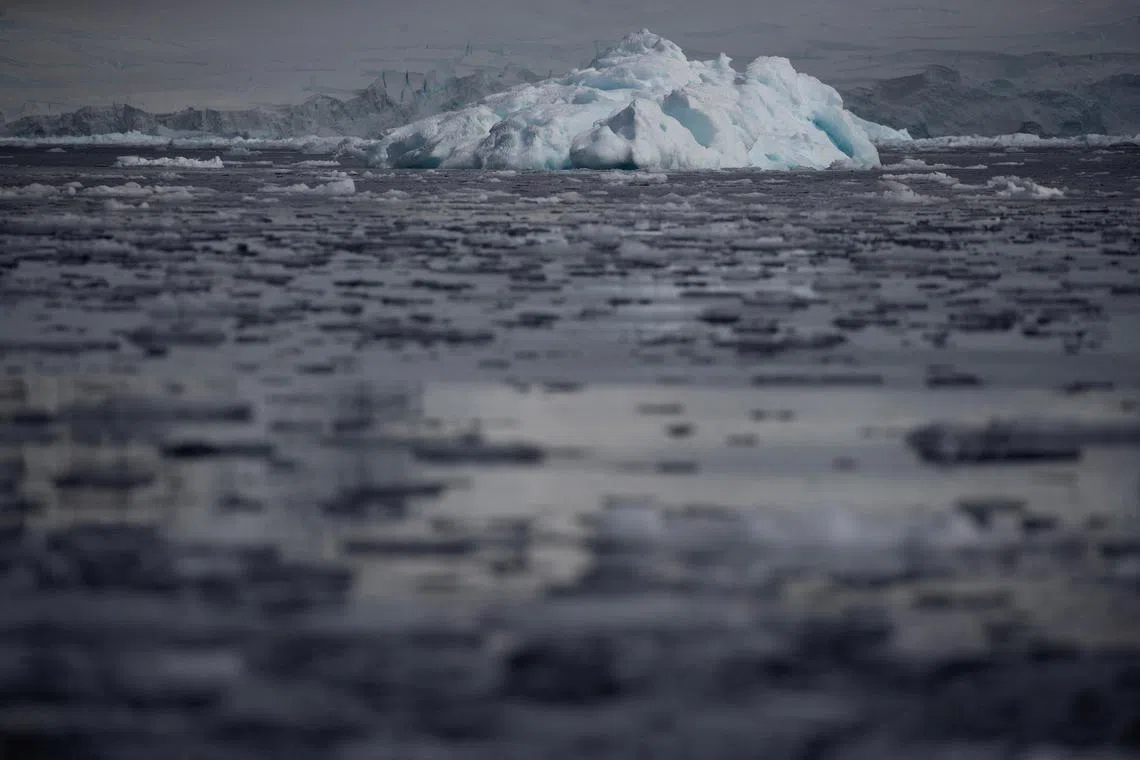 Small chunks of ice float on the water near Fournier Bay, Antarctica, in 2020.