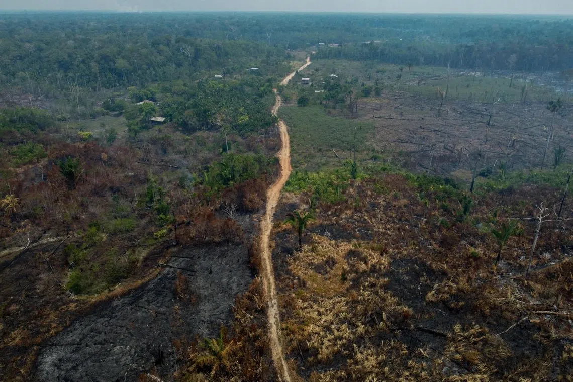 Since President Luiz Inacio Lula da Silva took office, deforestation in Brazil’s Amazon has fallen to the lowest rate since 2018.