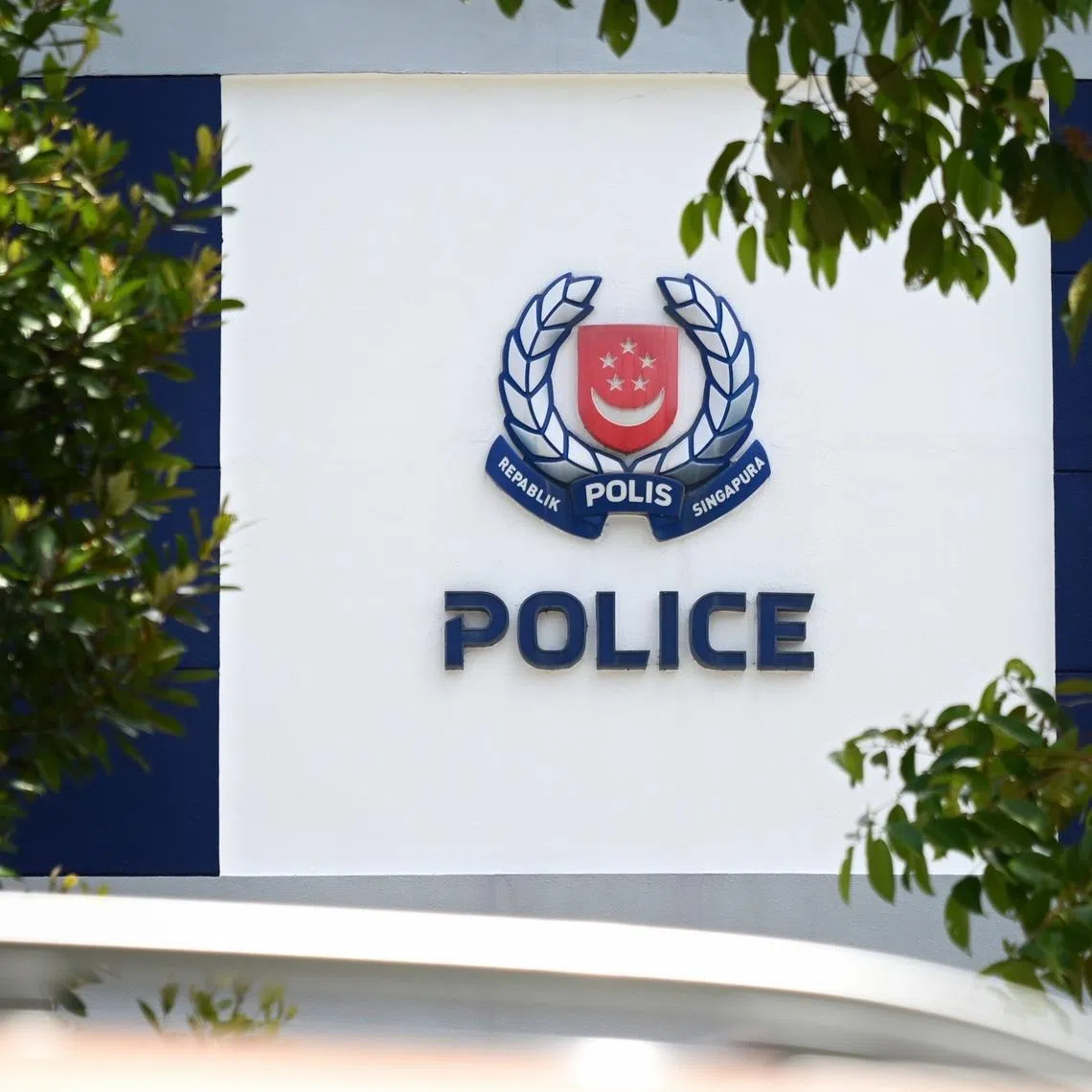 The identity of the woman who allegedly impersonated a police officer was uncovered through police investigations, and she was arrested on March 19.