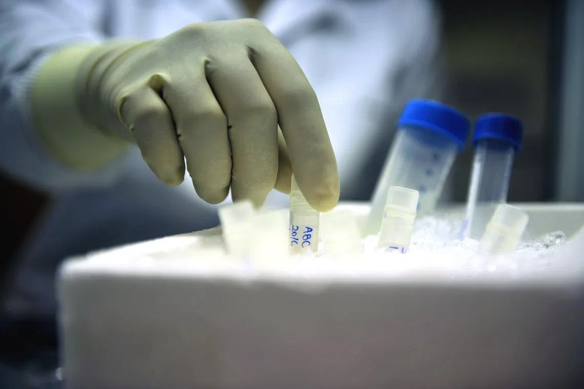 The subsidy is expected to cover up to half of the costs of conducting egg cryopreservation preliminary tests and medical procedure costs.