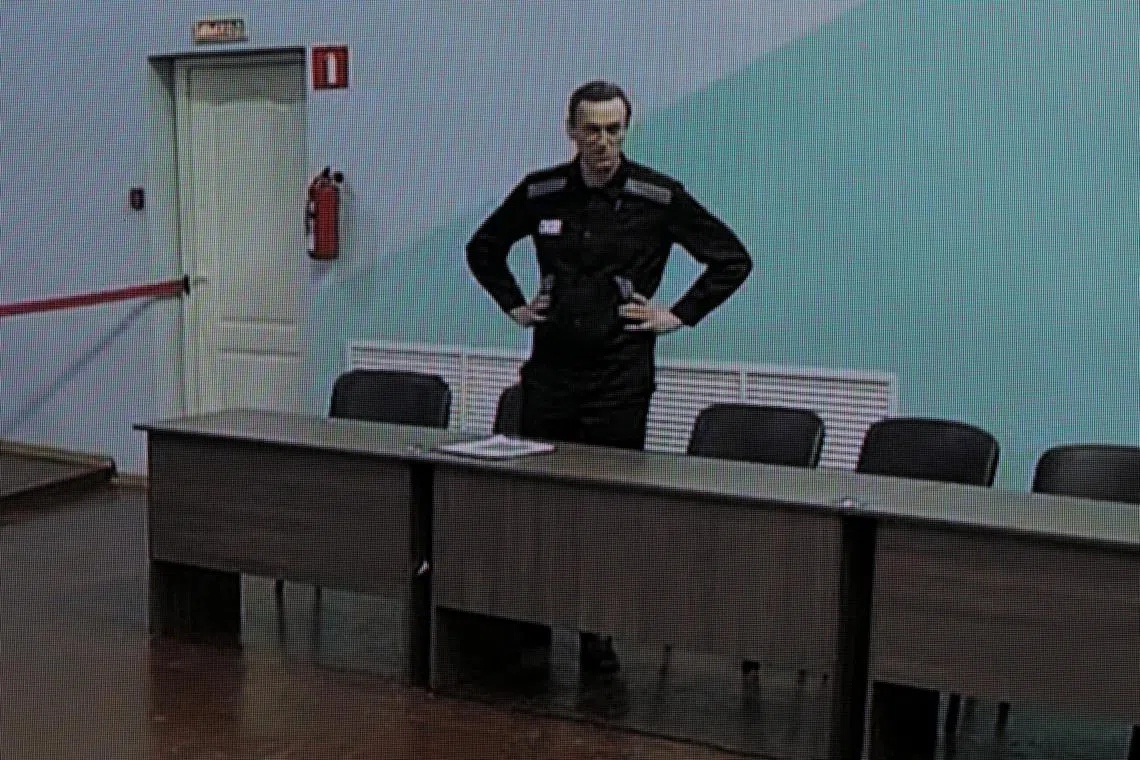 Supporters of opposition politician Alexei Navalny, seen here in a screengrab, see him as Russia's Nelson Mandela.