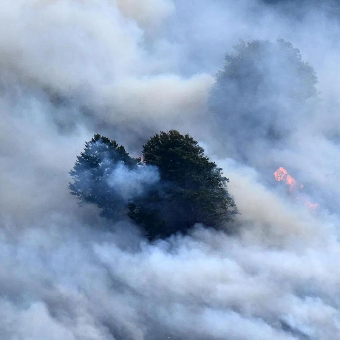 Wildfires are becoming a growing source of harmful air pollution even after reducing emissions from many developed countries.